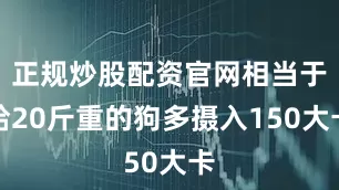 正规炒股配资官网相当于给20斤重的狗多摄入150大卡