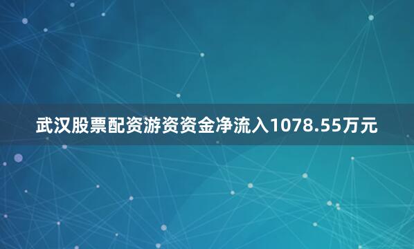 武汉股票配资游资资金净流入1078.55万元