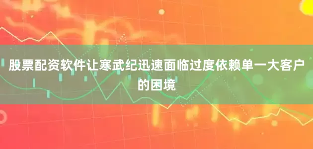 股票配资软件让寒武纪迅速面临过度依赖单一大客户的困境