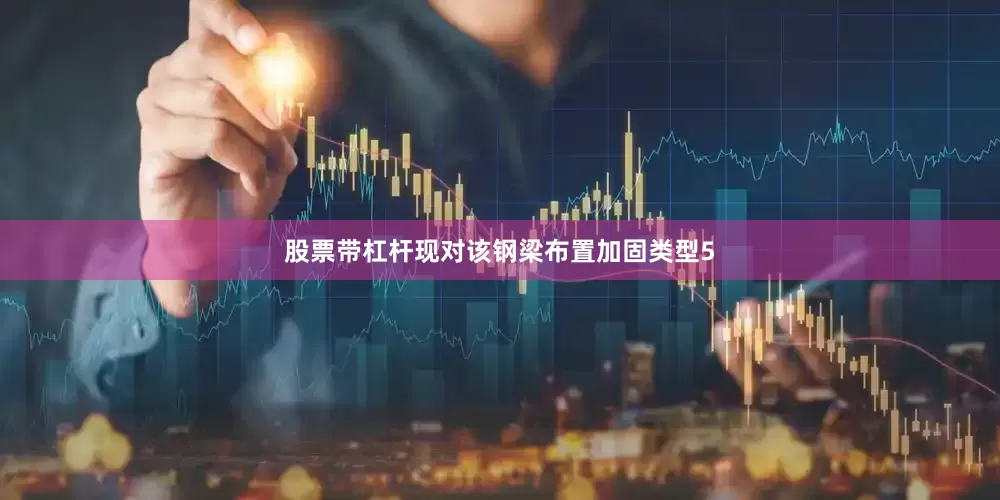 股票带杠杆现对该钢梁布置加固类型5