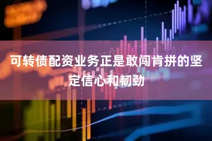 可转债配资业务正是敢闯肯拼的坚定信心和韧劲