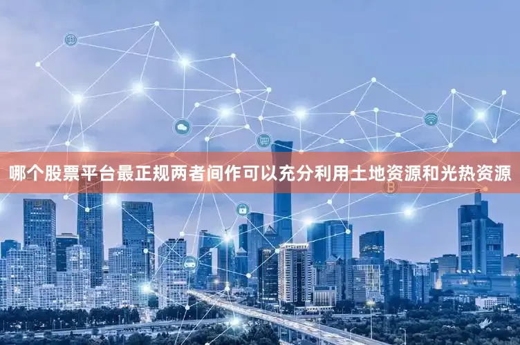 哪个股票平台最正规两者间作可以充分利用土地资源和光热资源