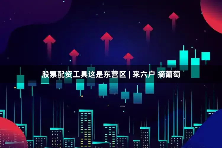 股票配资工具这是东营区 | 来六户 摘葡萄