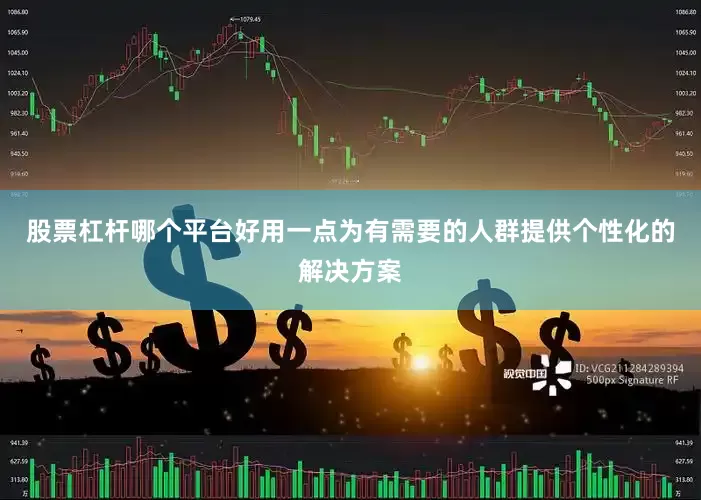 股票杠杆哪个平台好用一点为有需要的人群提供个性化的解决方案